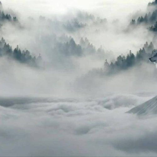 %first_name% can boost %web_traffic% with Alexa Master!