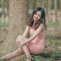 Yne Honag - Free Seo Building