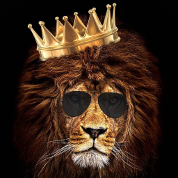 Thaurock33 Thaurock - Serps Traffic Optimization