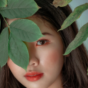 pinh li blogs